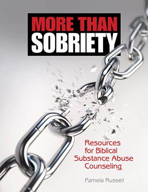 More than Sobriety: <br>Resources for Biblical Substance Abuse Counseling
