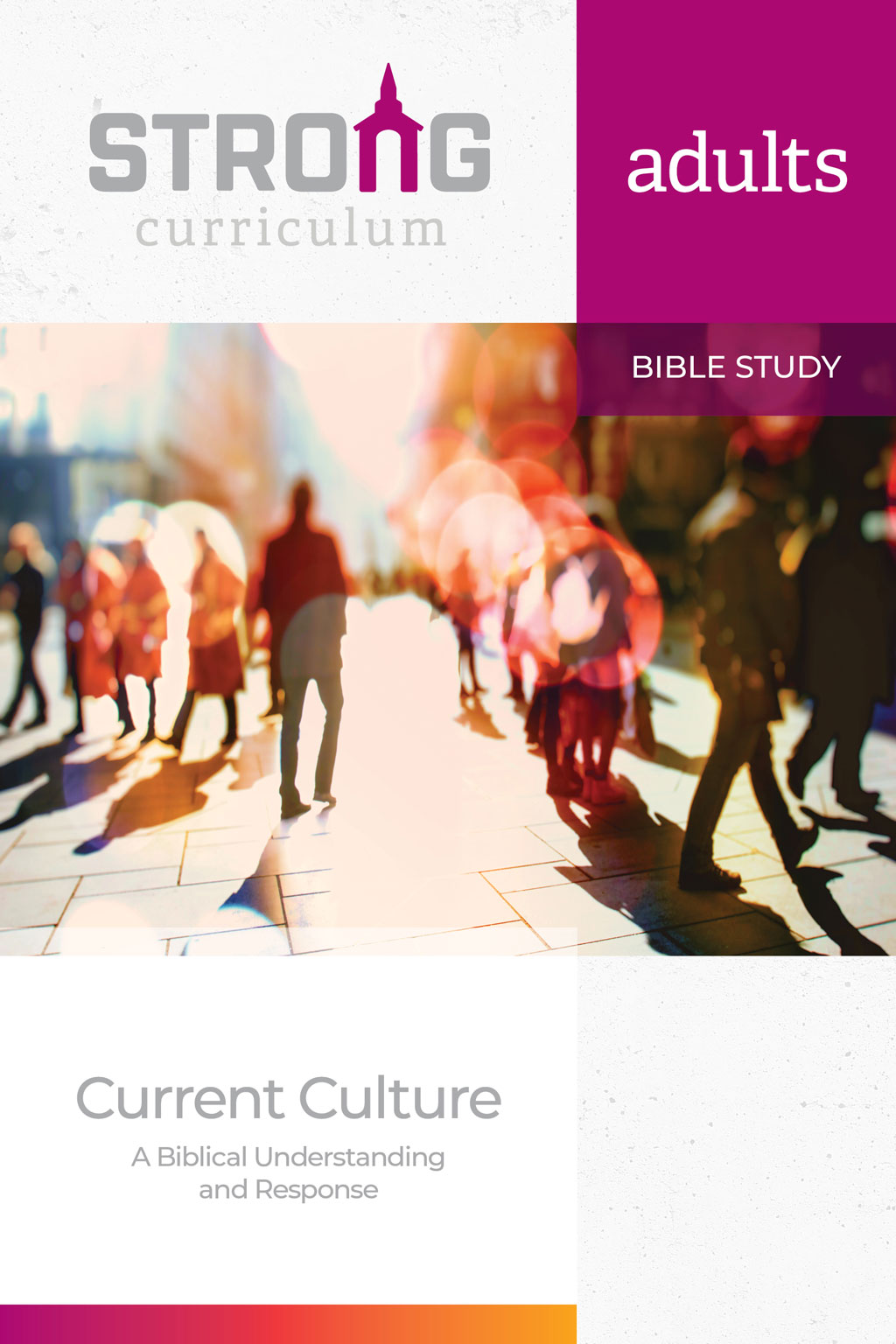 Current Culture: A Biblical Understanding and Response <br>Adult Bible Study Book