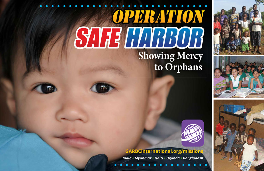 Project Download <br>Operation Safe Harbor