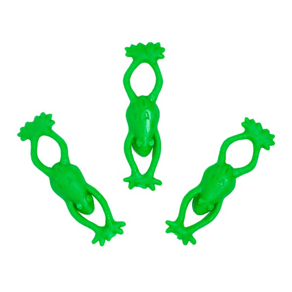 Flying Trapeze Frogs <br>VBS 2021