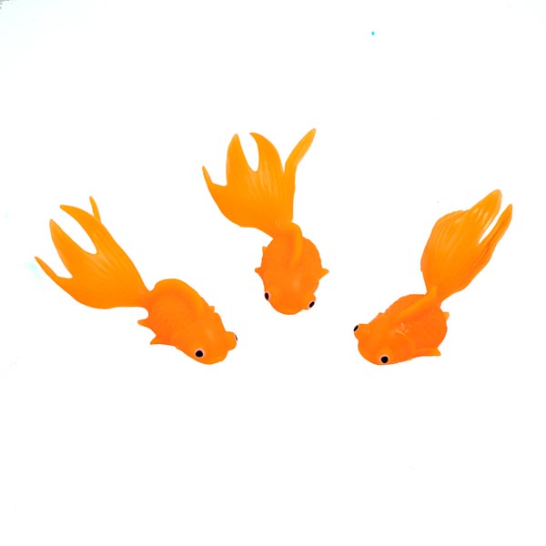 Goldfish <br>VBS 2021