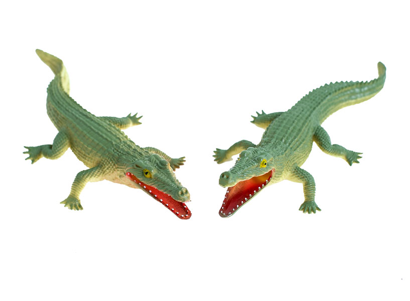 8" Crocodiles <br>VBS 2022