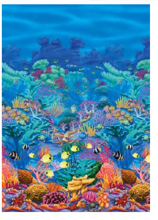Great Barrier Reef Scene Setter <br>VBS 2022