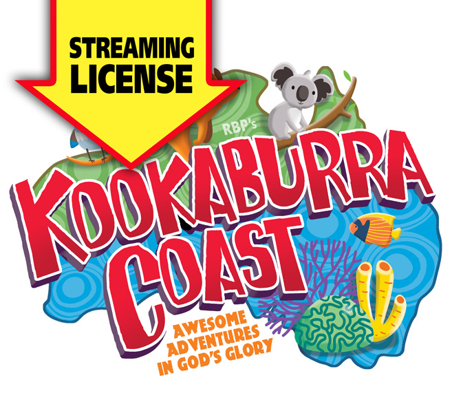 Streaming License <br>VBS 2022