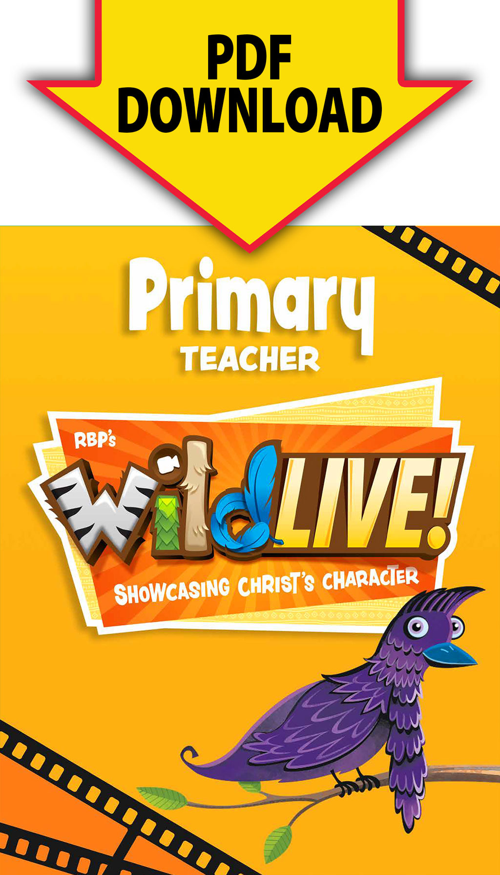Primary Teacher Book <br>VBS 2024 - KJV