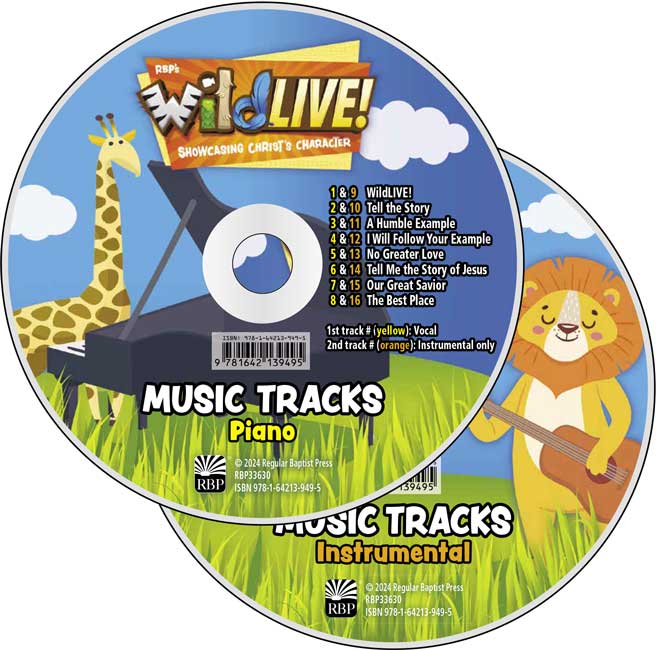 Music Tracks CD Set <br>VBS 2024