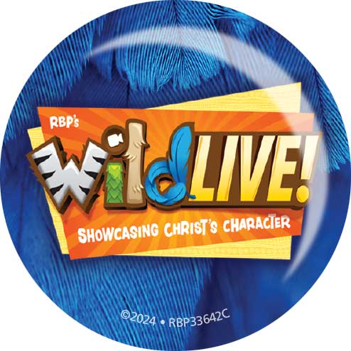 Logo Buttons <br>VBS 2024