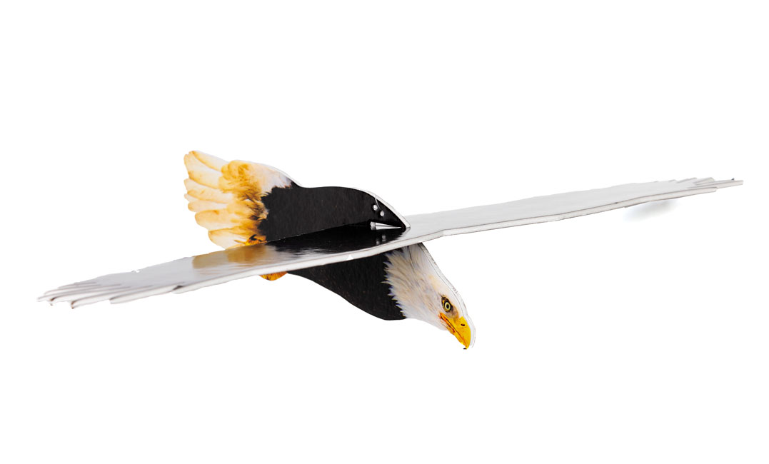 3-D Bald Eagles <br>VBS 2024
