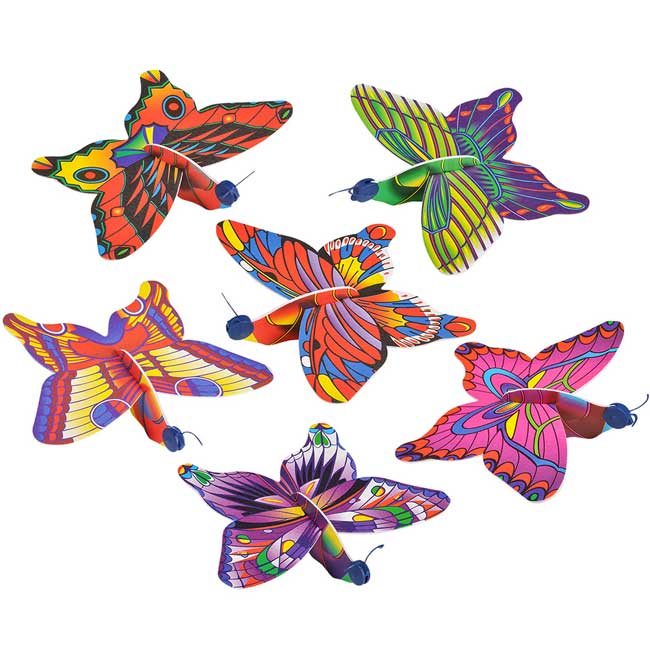 Flutter-Fly Glider <br>VBS 2024