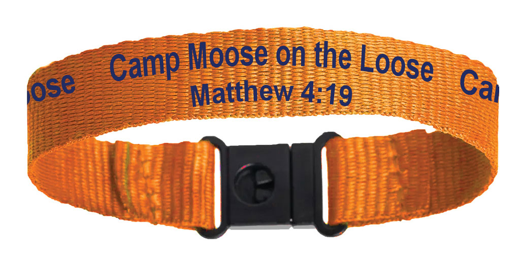 Wristbands (Pkg. of 10)