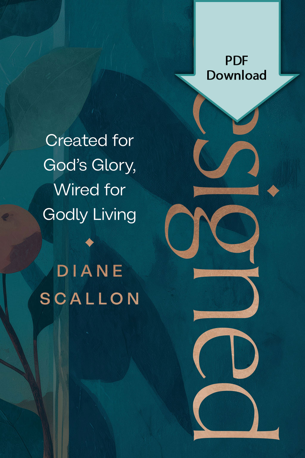 Designed - PDF Download